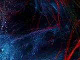 Abstract